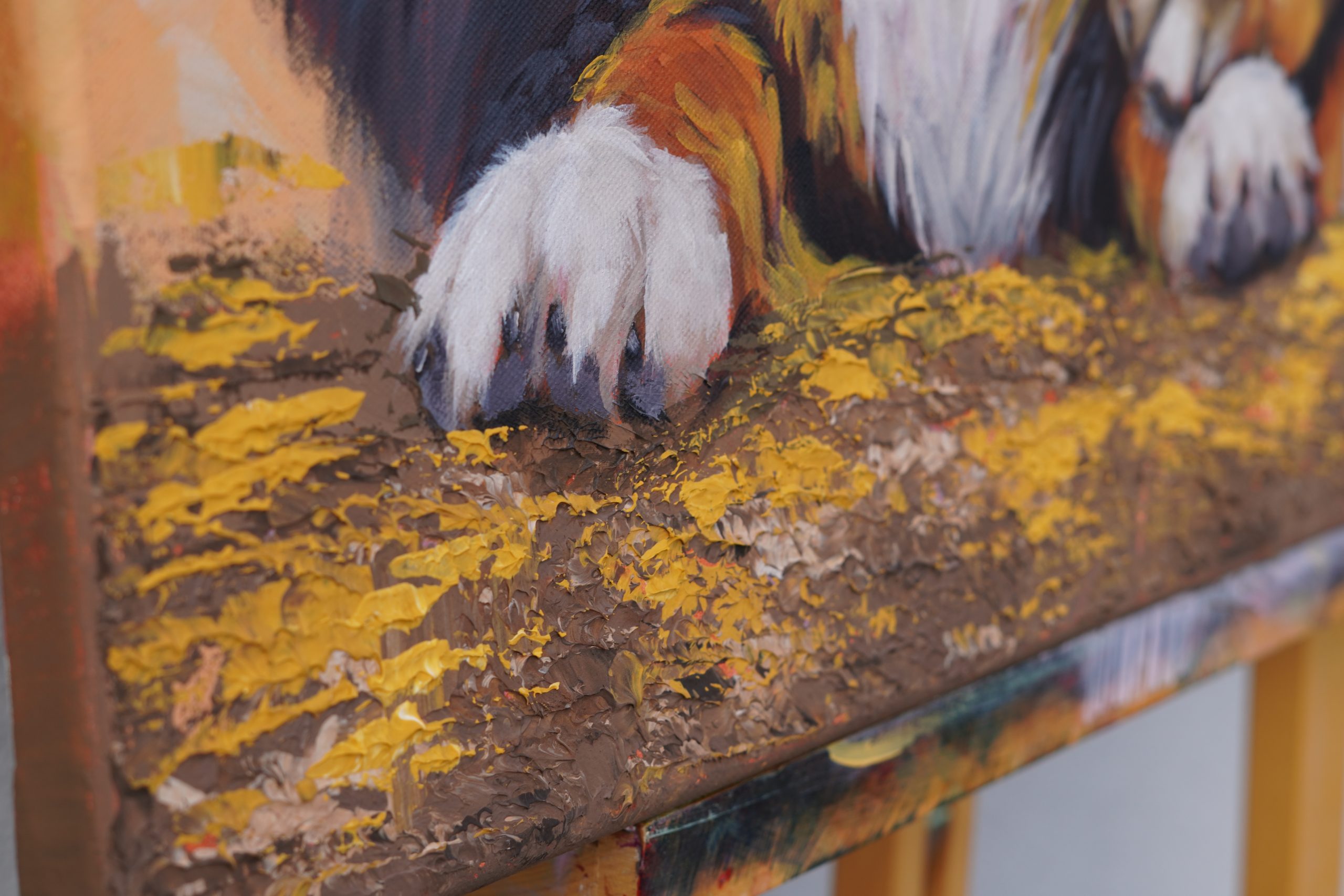 Take my Paw