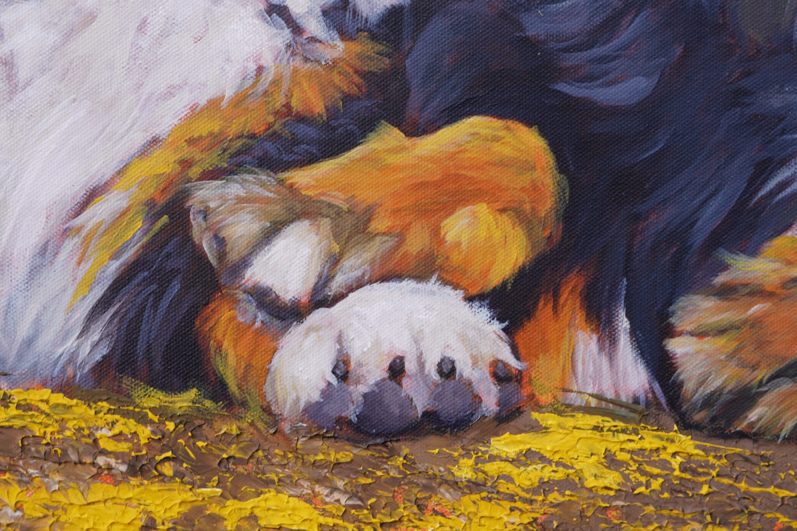 Take my Paw